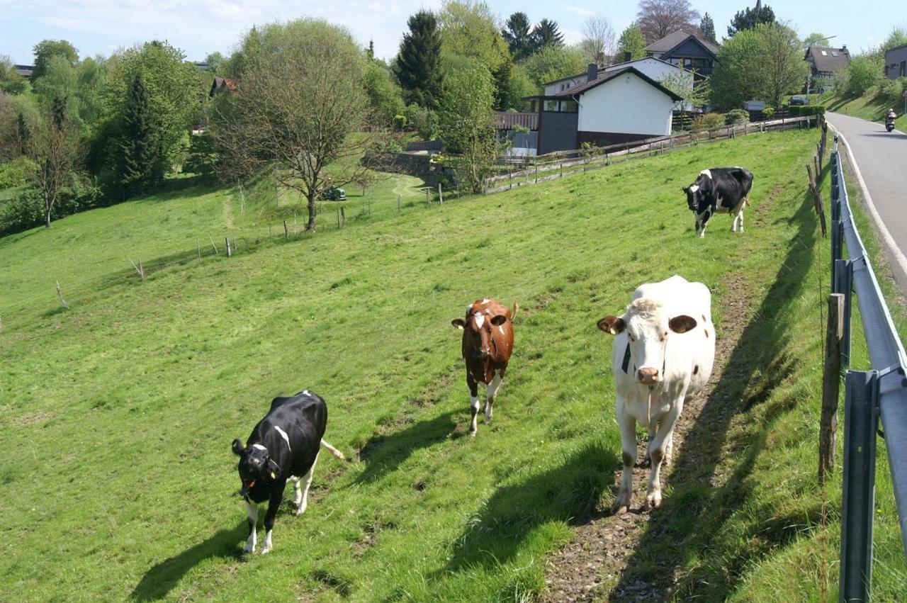 Pension Oberberg Lindlar Exteriér fotografie